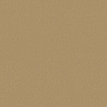 Load image into Gallery viewer, Shaw Magic At Last Iv 15' - Blonde (00242) - E0237-00242
