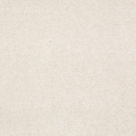 Load image into Gallery viewer, Sandy Hollow Classic I 12' Shaw nylon carpet
