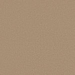 Load image into Gallery viewer, Shaw Sandy Hollow Classic I 12' - Stucco (00110) - E0548-00110
