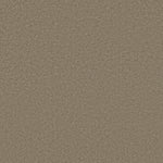 Load image into Gallery viewer, Shaw Sandy Hollow Classic I 12' - Chinchilla (00306) - E0548-00306
