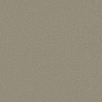 Load image into Gallery viewer, Shaw Sandy Hollow Classic I 12' - London Fog (00501) - E0548-00501
