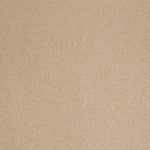 Load image into Gallery viewer, Shaw Sandy Hollow Classic Iii 12' - Stucco (00110) - E0552-00110
