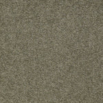 Load image into Gallery viewer, Shaw Sandy Hollow Classic Iii 12' - Alpine Fern (00305) - E0552-00305
