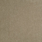 Load image into Gallery viewer, Shaw Sandy Hollow Classic Iii 12' - Chinchilla (00306) - E0552-00306
