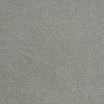 Load image into Gallery viewer, Shaw Sandy Hollow Classic Iii 12' - Tropical Surf (00420) - E0552-00420
