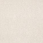 Load image into Gallery viewer, Sandy Hollow Classic Iii 15' Shaw nylon carpet
