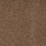 Load image into Gallery viewer, Shaw Sandy Hollow Classic Iii 15' - Pine Cone (00703) - E0553-00703
