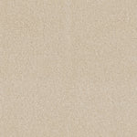Load image into Gallery viewer, My Choice I Shaw nylon carpet
