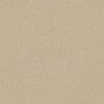 Load image into Gallery viewer, Shaw My Choice I - Candlewick Glow (00101) - E0650-00101
