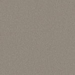 Load image into Gallery viewer, Shaw My Choice I - Textured Canvas (00150) - E0650-00150
