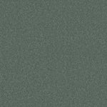 Load image into Gallery viewer, Shaw My Choice I - Stained Glass (00452) - E0650-00452
