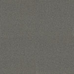 Load image into Gallery viewer, Shaw My Choice I - Charcoal (00551) - E0650-00551
