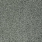 Load image into Gallery viewer, Shaw My Choice Ii - Silver Sage (00350) - E0651-00350
