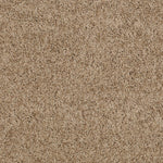 Load image into Gallery viewer, Shaw My Choice Ii - Twig (00702) - E0651-00702

