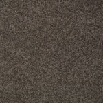 Load image into Gallery viewer, My Choice Ii Shaw nylon carpet
