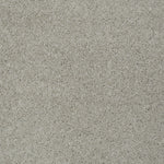 Load image into Gallery viewer, Shaw My Choice Iii - Textured Canvas (00150) - E0652-00150
