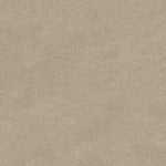 Load image into Gallery viewer, Shaw My Choice Iii - Bare Essence (00151) - E0652-00151
