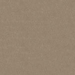Load image into Gallery viewer, Shaw My Choice Iii - Lattã (00152) - E0652-00152
