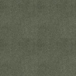 Load image into Gallery viewer, My Choice Iii Shaw nylon carpet
