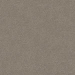 Load image into Gallery viewer, Shaw My Choice Iii - Ash (00550) - E0652-00550
