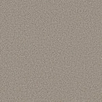 Load image into Gallery viewer, Elemental Mix Ii Shaw nylon carpet

