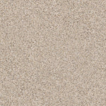 Load image into Gallery viewer, Elemental Mix Iii Shaw nylon carpet

