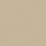 Load image into Gallery viewer, Shaw Keen Senses Ii - Treasure (00181) - E9715-00181
