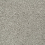 Load image into Gallery viewer, Keen Senses Ii Shaw nylon carpet
