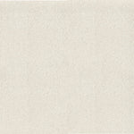Load image into Gallery viewer, Shaw Always Ready I — Crisp Linen 00171 carpet
