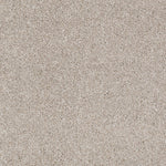 Load image into Gallery viewer, Shaw Always Ready I — Etched Glass 00172 carpet
