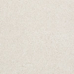 Load image into Gallery viewer, Shaw Always Ready I — Sentimental 00190 carpet
