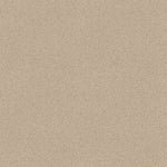 Load image into Gallery viewer, Shaw Always Ready I — Boutique 00191 carpet
