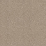 Load image into Gallery viewer, Shaw Always Ready I — Park Place 00192 carpet
