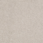Load image into Gallery viewer, Shaw Always Ready I — Balanced Beige 00193 carpet
