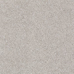Load image into Gallery viewer, Shaw Always Ready I — Studio Taupe 00194 carpet
