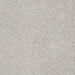 Load image into Gallery viewer, Shaw Always Ready I — Realist 00196 carpet
