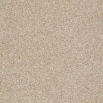 Load image into Gallery viewer, Shaw Always Ready I — Gold Rush 00290 carpet

