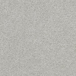 Load image into Gallery viewer, Shaw Always Ready I — Vapor 00570 carpet
