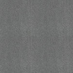 Load image into Gallery viewer, Shaw Always Ready I — Harbor 00571 carpet
