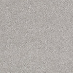 Load image into Gallery viewer, Shaw Always Ready I — Crystal Haze 00590 carpet
