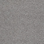 Load image into Gallery viewer, Shaw Always Ready I — Washed Gray 00593 carpet
