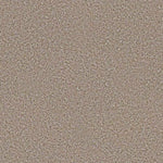 Load image into Gallery viewer, Shaw Always Ready I — Summerville 00790 carpet
