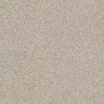 Load image into Gallery viewer, Shaw Always Ready I — Biscotti 00791 carpet
