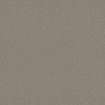 Load image into Gallery viewer, Shaw Always Ready I — Arrowhead 00792 carpet
