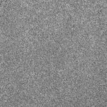 Load image into Gallery viewer, Shaw Always Ready I — Flint Stone 00793 carpet

