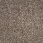 Load image into Gallery viewer, Shaw Always Ready I — Cobble Brown 00798 carpet
