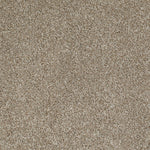 Load image into Gallery viewer, Shaw Always Ready I — Warmth 00799 carpet
