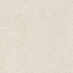 Load image into Gallery viewer, Shaw Always Ready II — Crisp Linen 00171 carpet
