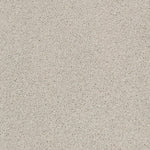 Load image into Gallery viewer, Shaw Always Ready II — Etched Glass 00172 carpet
