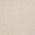 Load image into Gallery viewer, Shaw Always Ready II — Sentimental 00190 carpet
